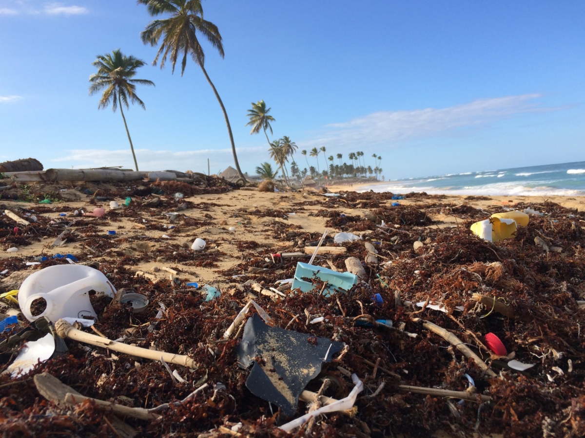 cartoffset-réduire-emballage-plastique-pollution-ocean